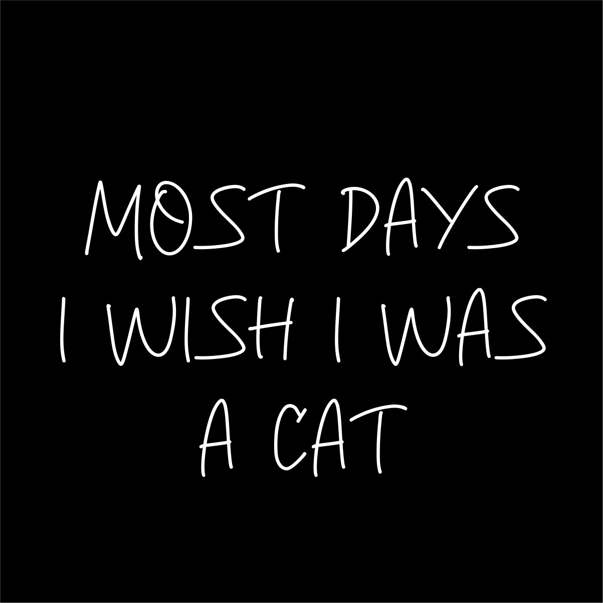 Juodi UNISEX marškinėliai "Most days I wish I was a cat"