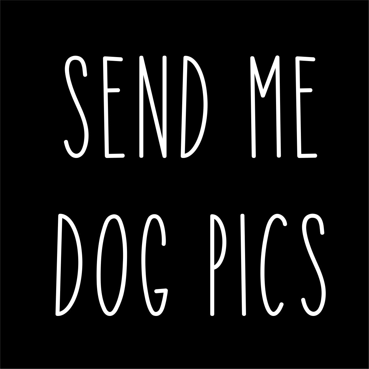 Juodi UNISEX marškinėliai "Send me dog pics"